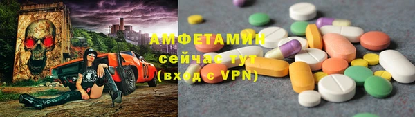 метадон Алексин