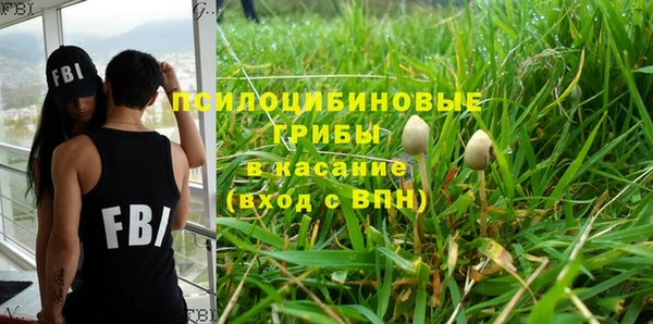 метадон Алексин