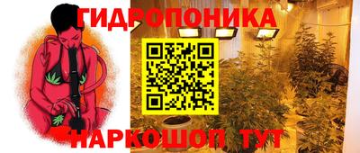 амф Ачхой-Мартан