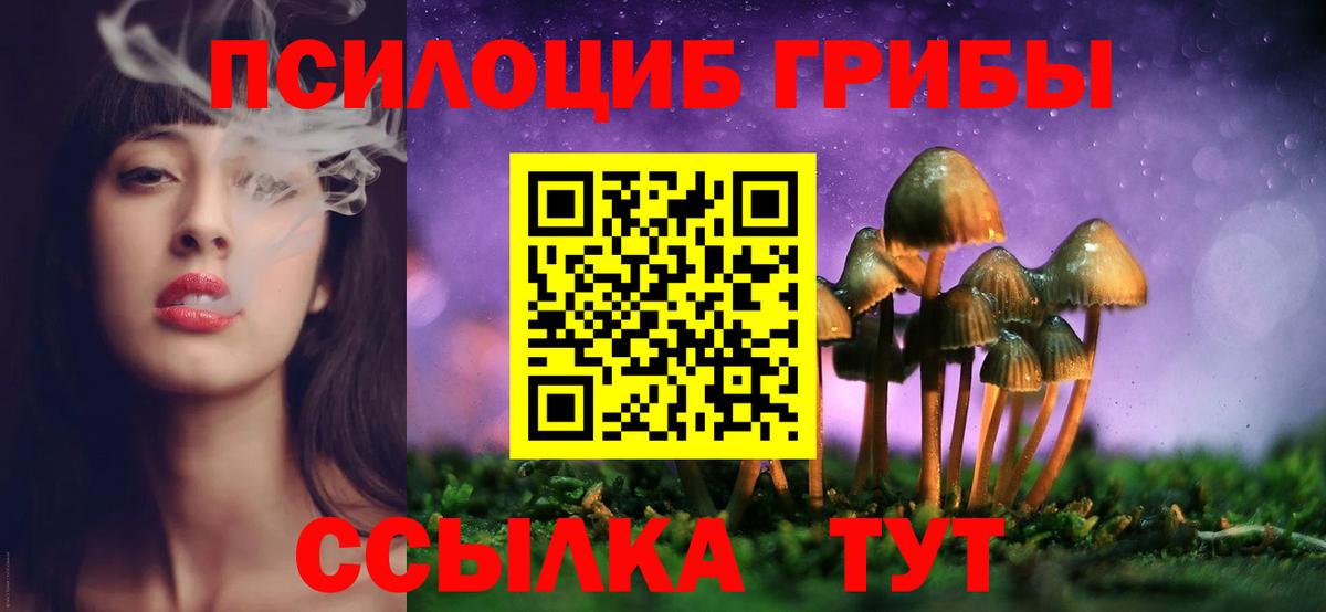 Псилоцибиновые грибы Cubensis  Галлюциногенные грибы GOLDEN TEACHER  Вход с VPN  магазин    Курганинск 